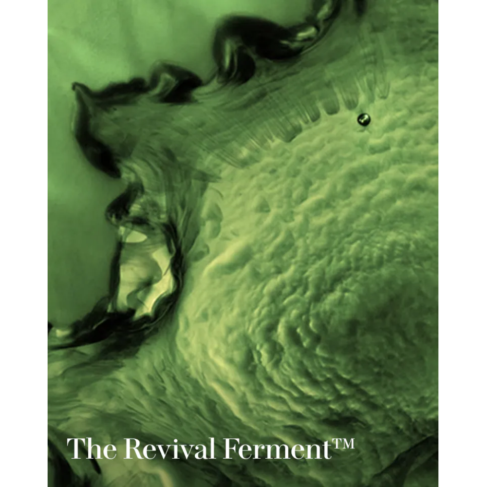 The Treatment Lotion